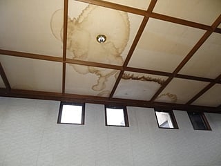 屋上をシート防水して直りました｡